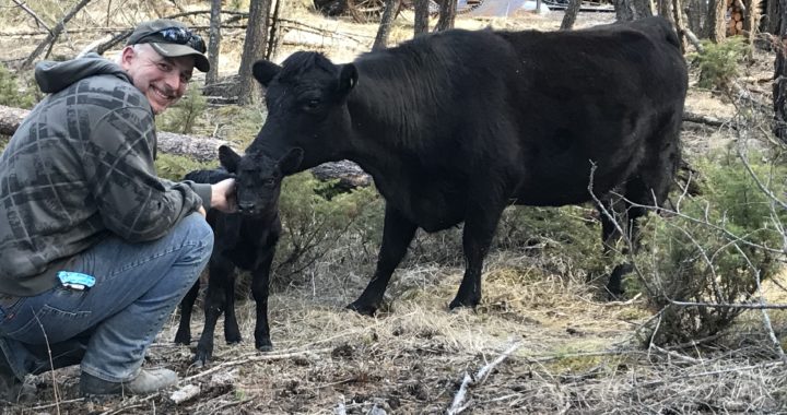 Dean with his new heifer