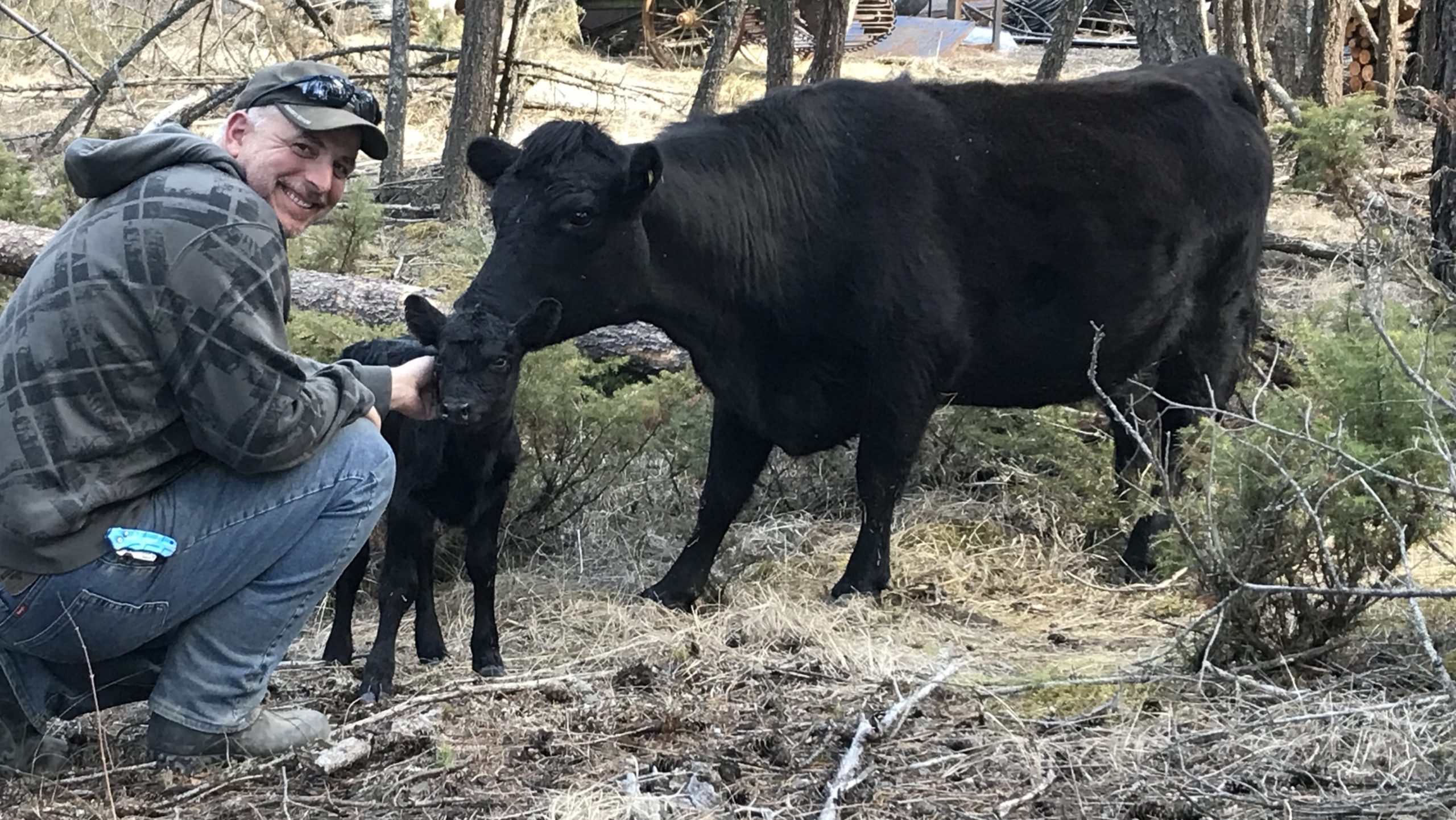 Dean with his new heifer